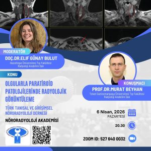 Nöroradyoloji Akademisi